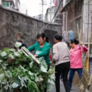 干群携手齐上阵 清洁家园在行动