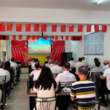 年丰巷社区开展2022年七一党员大会暨“四亮”主题活动专题组织生活会