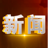 “人才夜市”吸引高校毕业生应聘