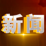 新颜迎新年：党建+森林大保洁