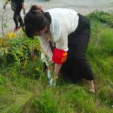 联点单位齐发力 共建美丽观音阁