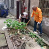 创卫家园 环卫整治