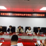 王家河街道人大代表团传达学习党的二十大精神