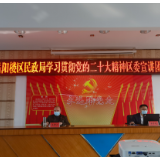 岳阳楼区民政局学习宣传贯彻党的二十大精神
