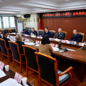 区政府召开专题座谈会征求对《政府工作报告》和“十五五”规划的意见建议
