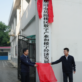 岳阳楼区数字产业和楼宇经济发展中心正式揭牌成立