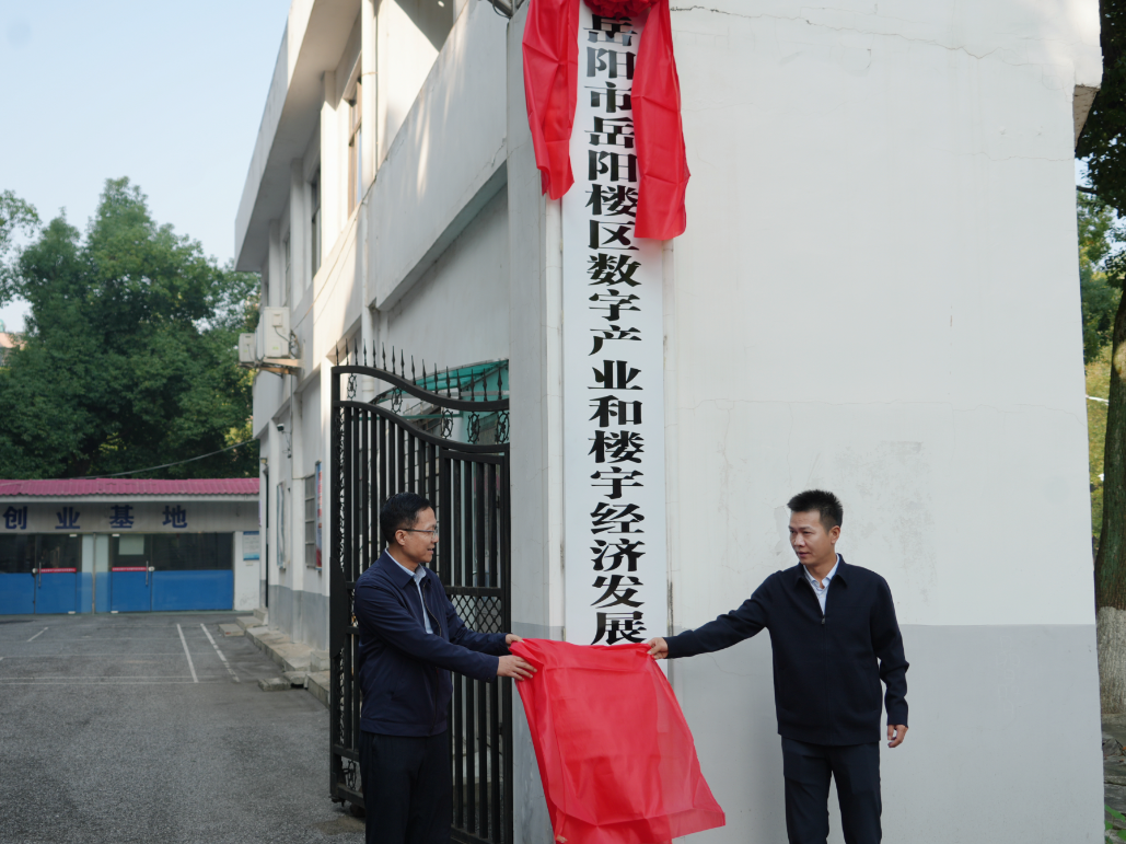 岳阳楼区数字产业和楼宇经济发展中心正式揭牌成立