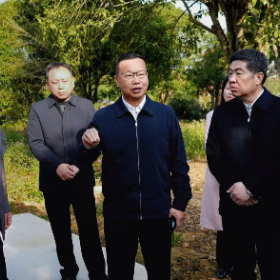 陈阁辉调研岳阳楼区农口、民政、供销社工作