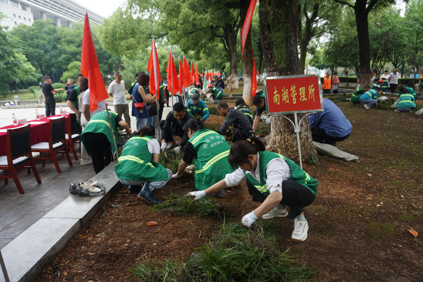 种草.jpg