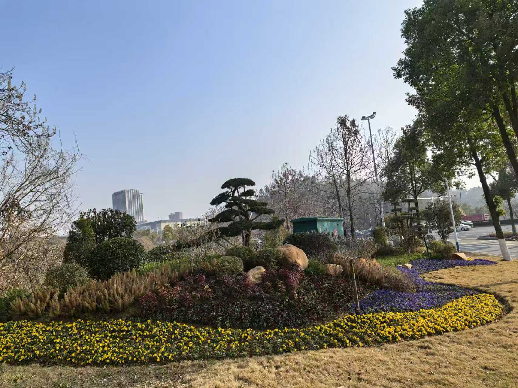 微信图片_20260212141145.jpg