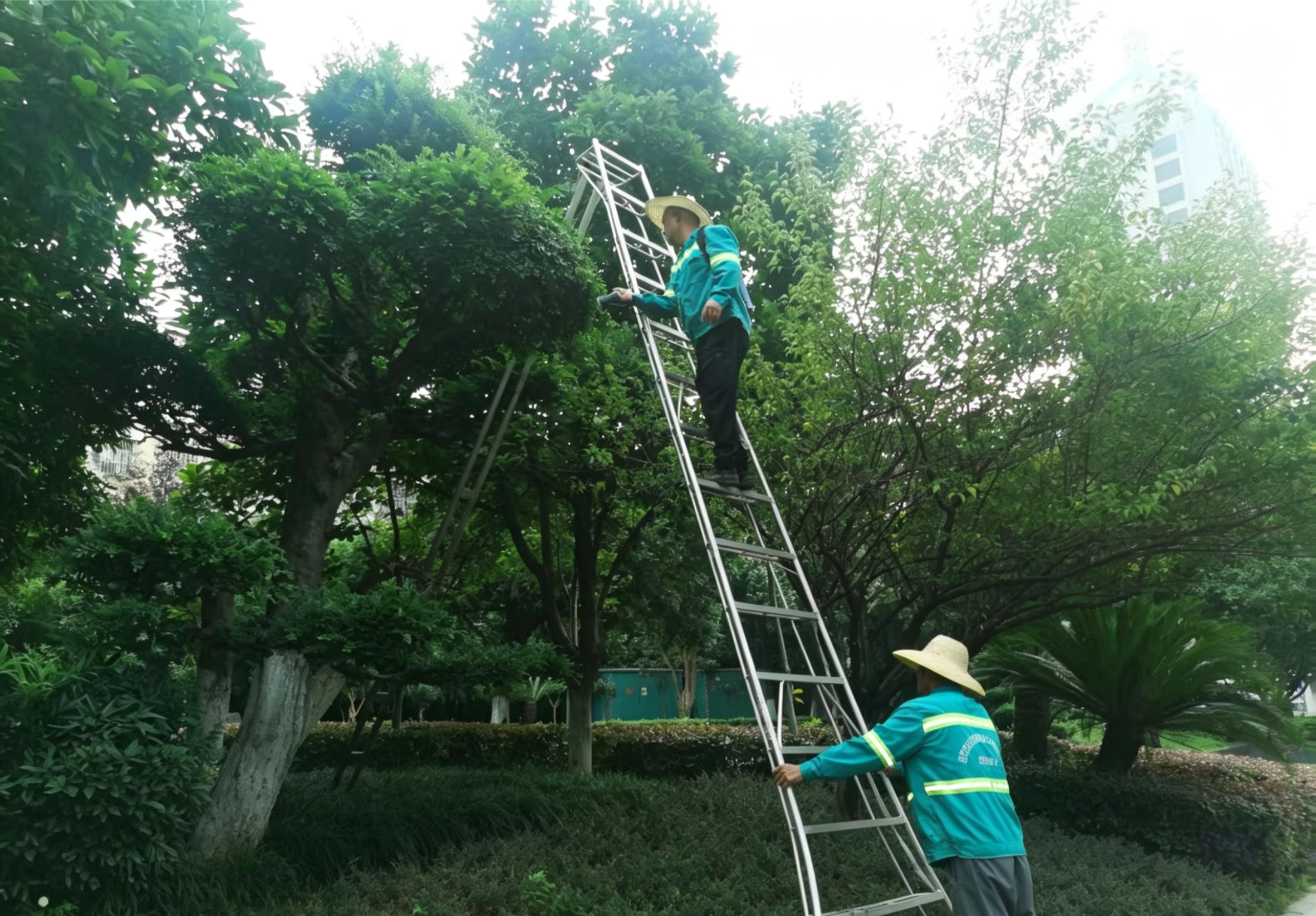 e895823709f841c283e71138581b51f5_tplv-tt-origin-web_gif.jpeg