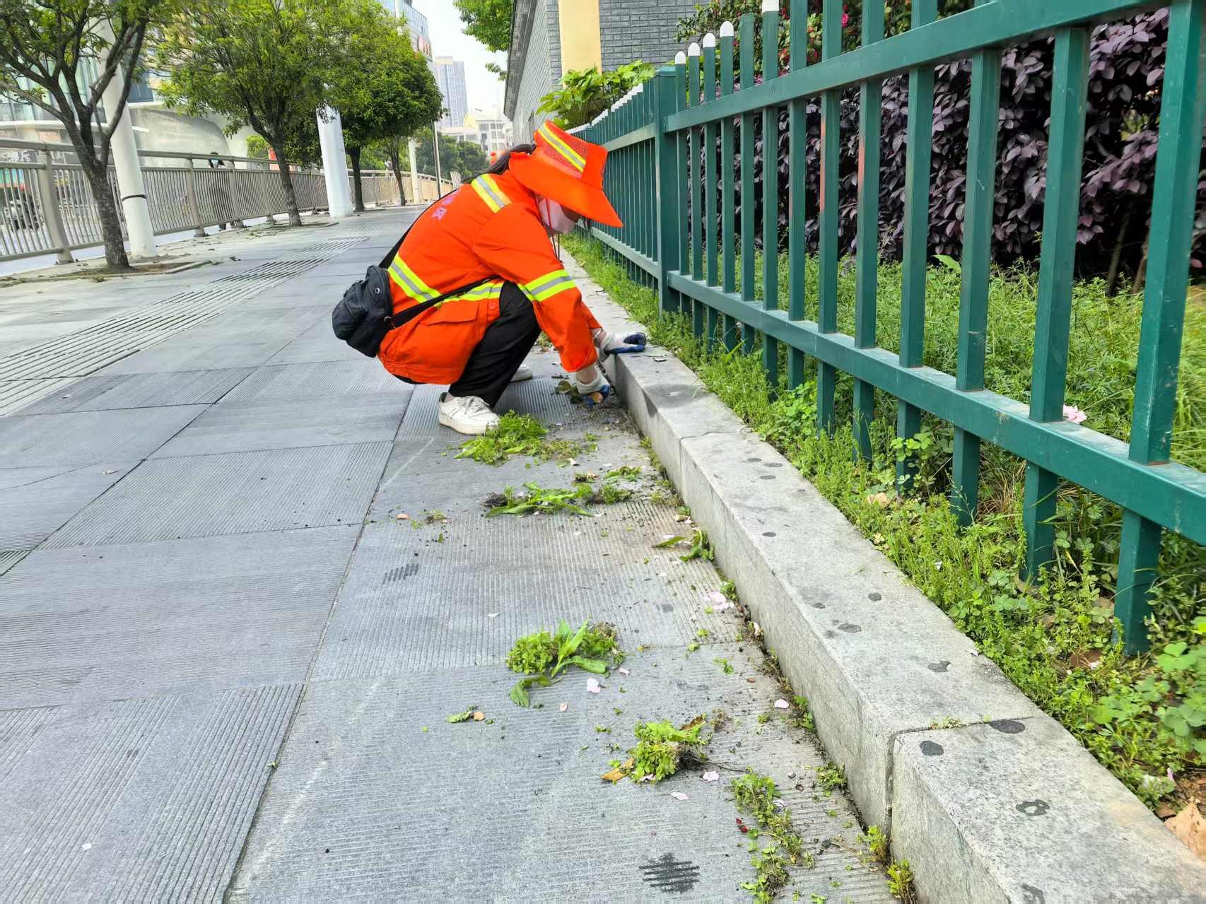 3.jpg 3.jpg