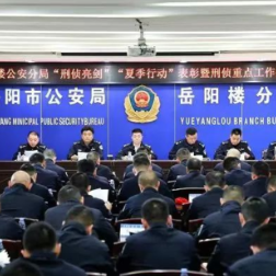 岳阳楼公安召开“夏季行动”表彰暨刑侦重点工作推进会