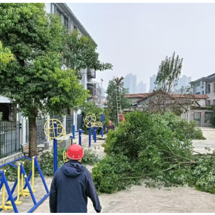 南津港社区:社区物业齐联手 共护辖区促安全