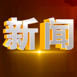 2024年11月20日楼区新闻