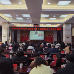 岳阳楼区妇联传达学习湖南省第十四次妇女代表大会精神