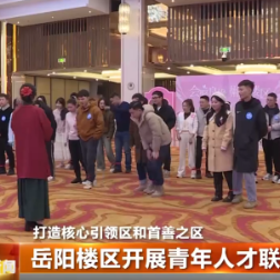 岳阳楼区开展青年人才联谊活动