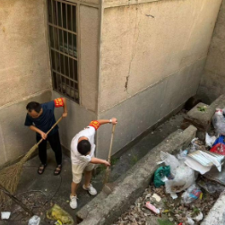 枫树岭社区：清洁美化家园人人参与 共建和谐人居环境
