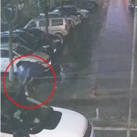 暴雨夜砸车窗盗财物的 “幽灵”落网了丨夏季行动