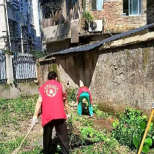 党建引领“洁”尽全力 打造优美人居环境