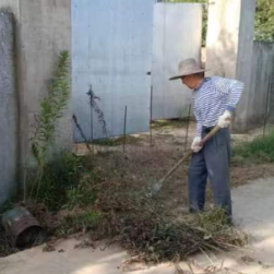 护绿清草除杂 扮靓乡村环境