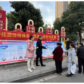 岳阳楼区公租房租赁补贴提标扩面背后的民生温度：十四五住房保障的区域实践