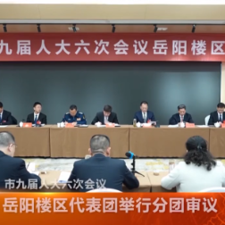 岳阳楼区代表团举行分团审议