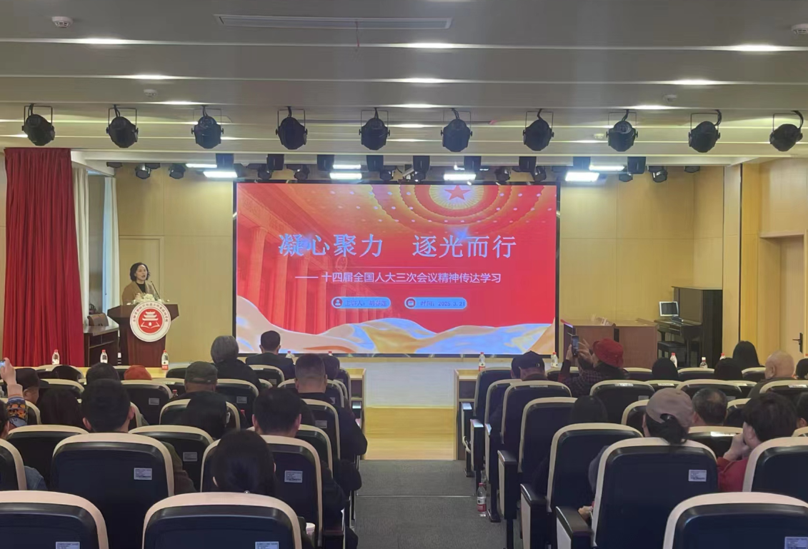 望岳路街道开展“学习传达2025年全国两会精神”专题宣讲