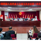 凝心聚力擘画发展蓝图 团结奋进共谱康王新篇——康王乡第四届人民代表大会第五次会议胜利召开