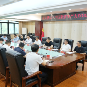 岳阳楼区·中国新质生产力EOD联盟座谈会召开