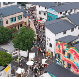 洞庭渔歌小镇记