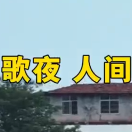 舞动渔歌夜 人间至味酣