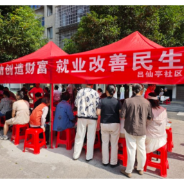 吕仙亭社区开展就业创业政策宣传
