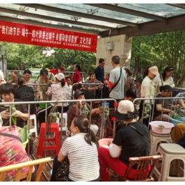 粽叶飘香过端午 幸福和谐邻里情