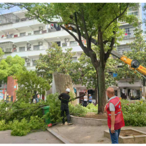 九华山社区：开展剪枝行动，为无物业小区筑牢汛期 “安全网”