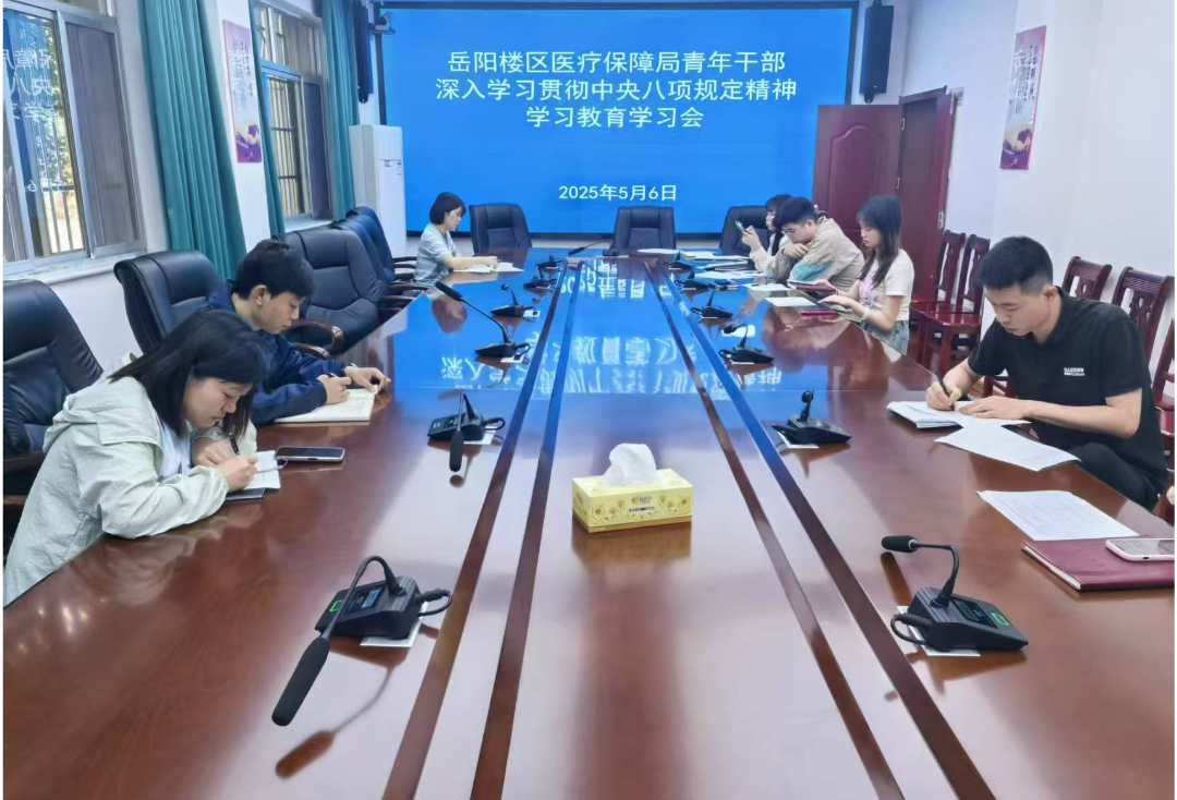 岳阳楼区医疗保障局开展青年干部中央八项规定精神学习教育学习会