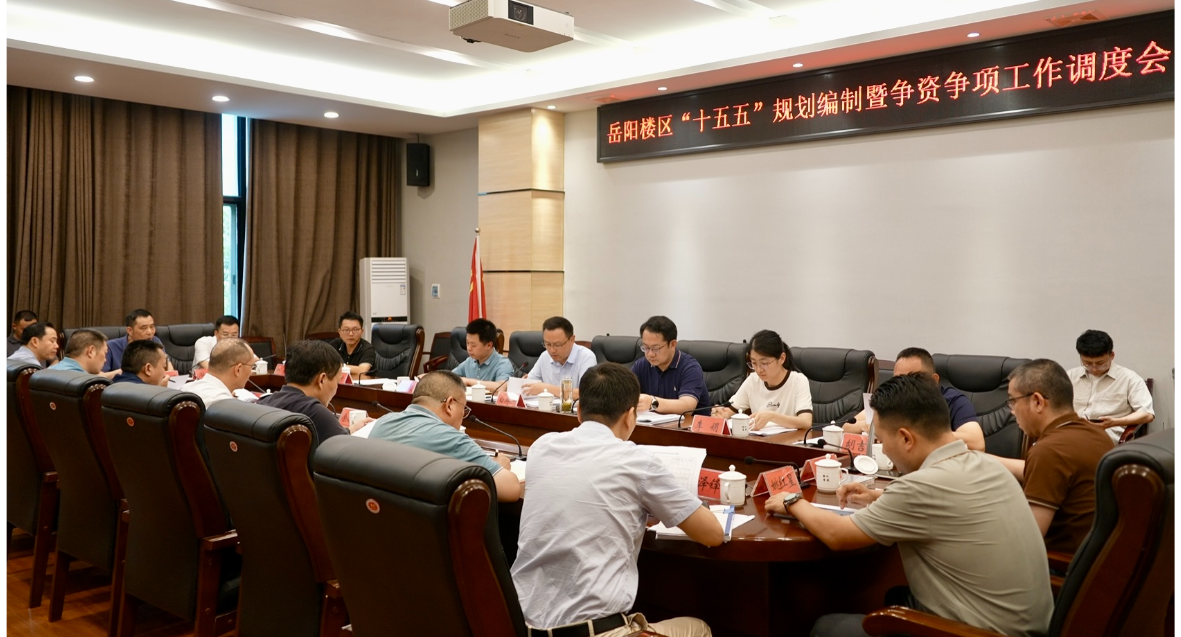 我区召开“十五五”规划编制暨争资争项工作调度会