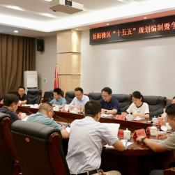 我区召开“十五五”规划编制暨争资争项工作调度会