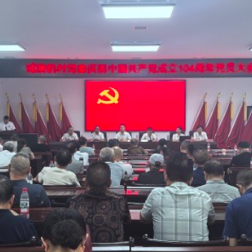 城陵矶村党委召开“庆祝中国共产党成立104周年”党员大会