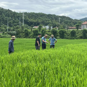 实施“七大攻坚” 科技赋能乡村振兴 “零距离”助农解难题