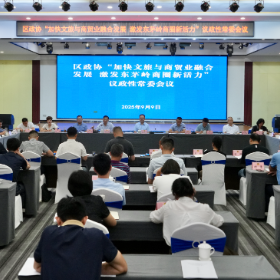 白再兴出席区政协专题议政性常委会会议