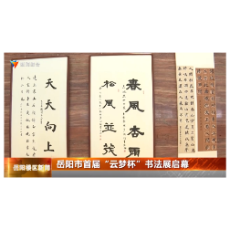 岳阳市首届“云梦杯”书法展启幕