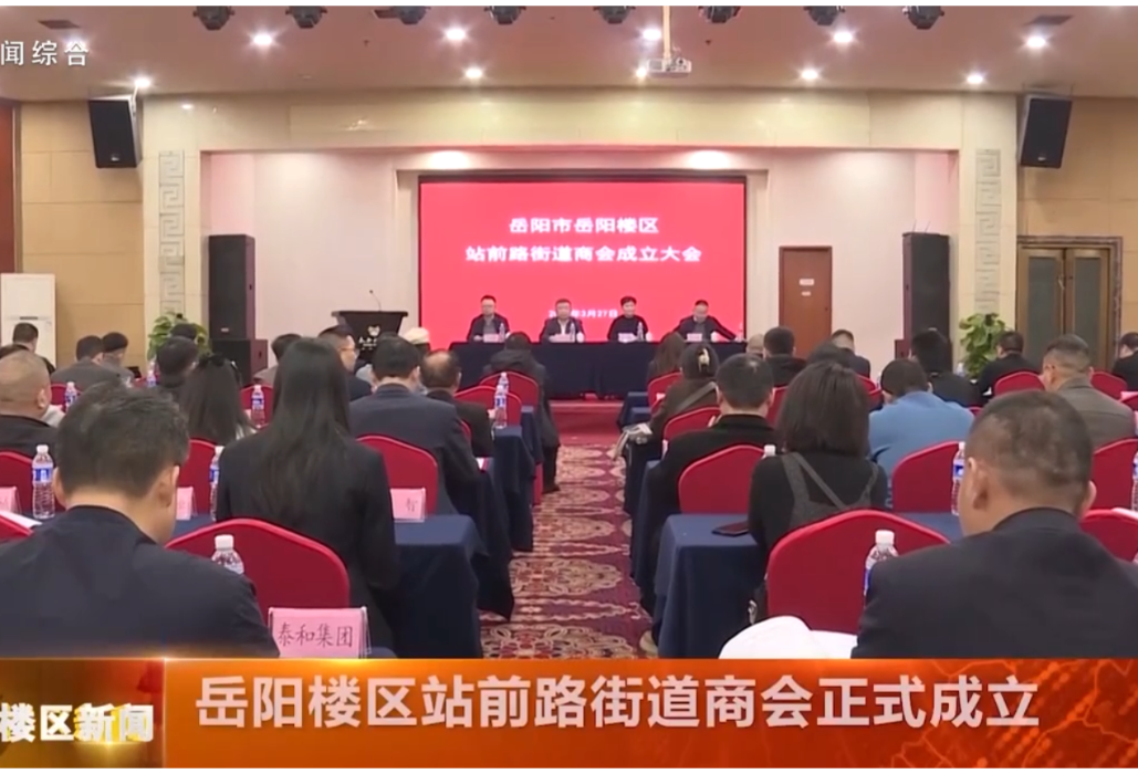 岳阳楼区站前路街道商会正式成立