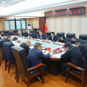 六届区委审计委员会第五次会议召开