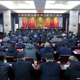 区政府召开第八次全体(扩大)会议