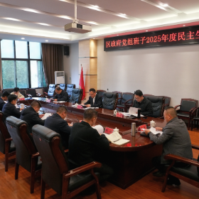 区政府党组班子2025年度民主生活会召开