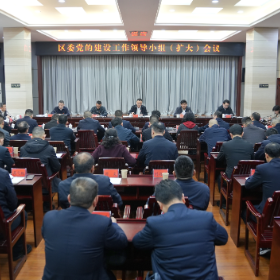 白再兴主持召开岳阳楼区委党的建设工作领导小组（扩大）会议