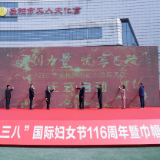 岳阳楼区举行庆“三八”暨巾帼电商直播风采展活动