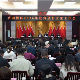 区宣传思想文化工作会议召开