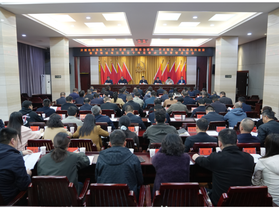 岳阳楼区启动重点民生领域专项巡察